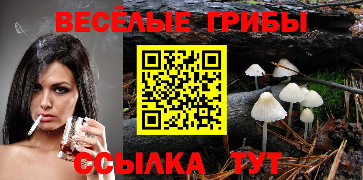 Псилоцибиновые грибы мухоморы  даркнет сайт  Протвино  Вход с VPN 